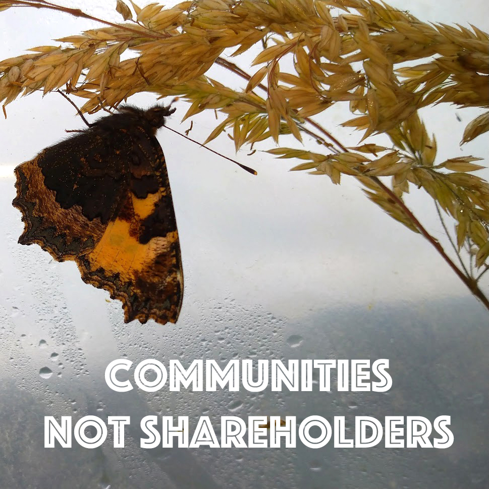 Communities not shareholders - image with butterfly handing of grass seed head
