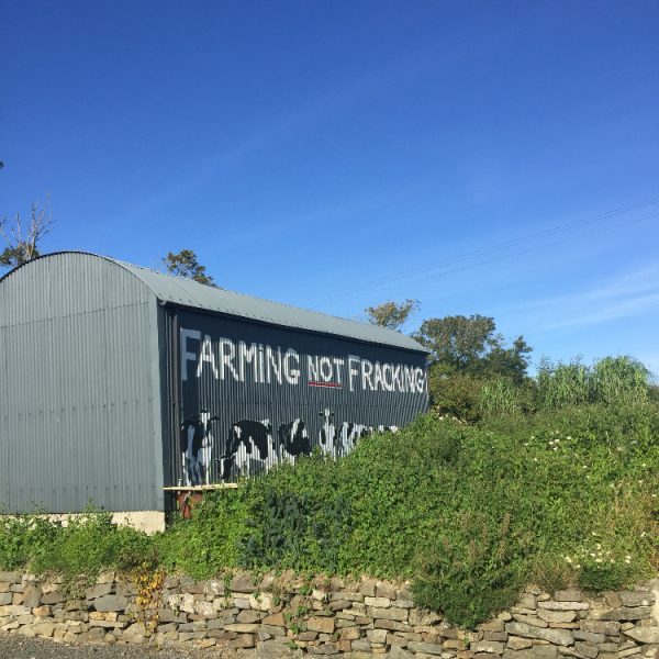 Farming not farming slogan with cattle underneath painted onto side of farm shed